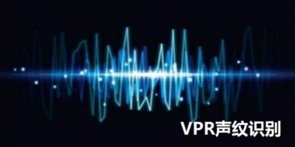 VPR声纹识别产品